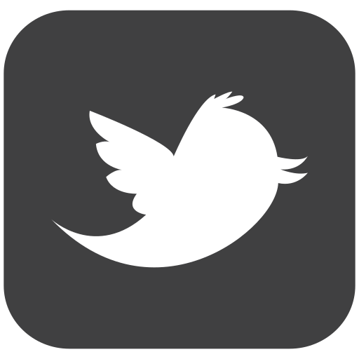 Twitter, social media, tweet, follower, connect, social, follow icon